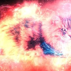 A cat overimposed on the image of a red and orange nebula