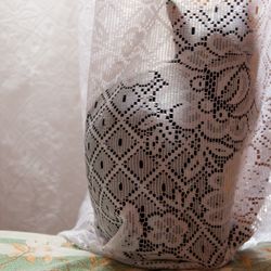 A black cat hiding behind a curtain, illustrating the concept of quantum physics and schrodinger's cat.