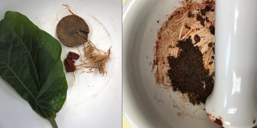 Betel nut quid and spit