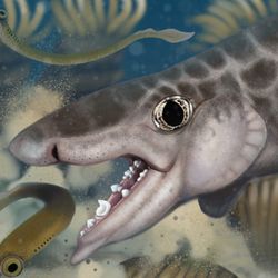Proposed reconstruction of the new to science species Macadens olsoni, an ancient species of shark. The art also depicts two marine worms with larged eyes and spiked teeth