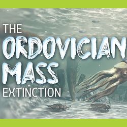 an organism from the Ordovician time