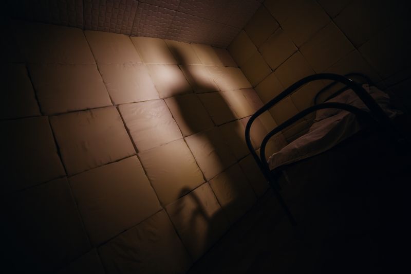 Shadow of a man in an upholstered room