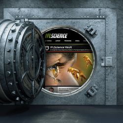 An image of the vault doors opening with a screenshot of the 中国飞行艇号码直播 IFLScience Vault article. 