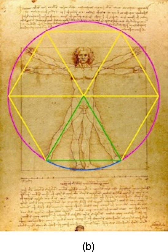 The Vitruvian man with a green equilateral triangle drawn over the legs, and that triangle replicated five more times in a yellow hexagon formation. A pink circle encases the whole figure; it follows da Vinci's original circle perfectly. The Vitruvian man with a green equilateral triangle drawn over the legs, and that triangle replicated five more times in a yellow hexagon formation. A pink circle encases the whole figure; it follows da Vinci's original circle perfectly.