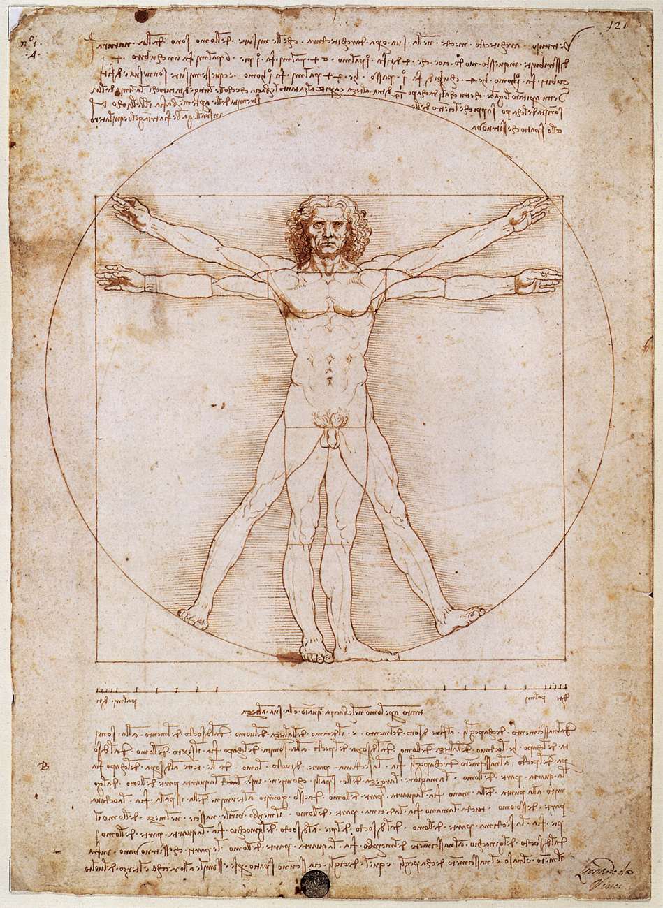 The page from Leonardo's notebook featuring the Vitruvian man The page from Leonardo's notebook featuring the Vitruvian man