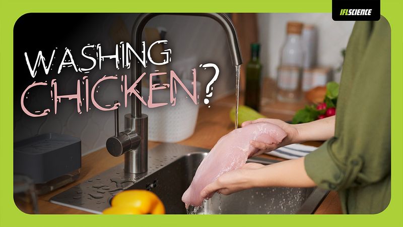 A person washes chicken in the sink
