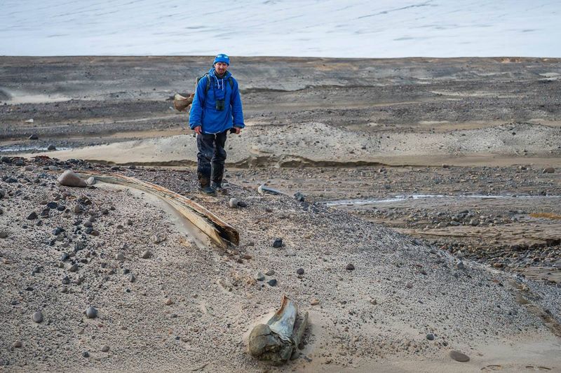 A researcher at Russia’s Arctic and Antarctic Research Institute standing next to a whale skeleton