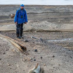 A researcher at Russia’s Arctic and Antarctic Research Institute standing next to a whale skeleton