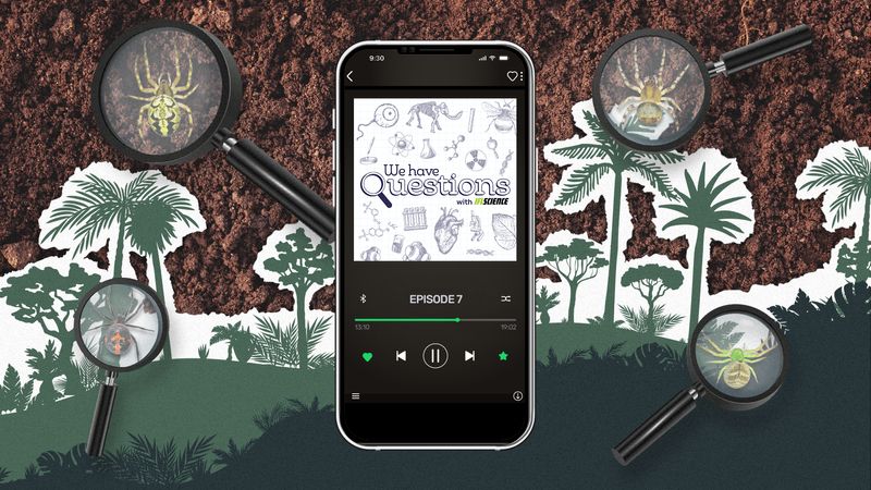 Episode 7 of IFLScience We Have Questions - How do you rediscover a lost species?