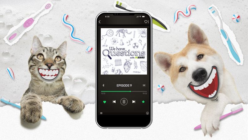 Episode 9 of IFLScience We Have Questions