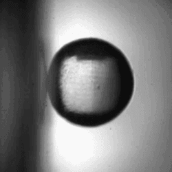 A ball rolling vertically down a surface.