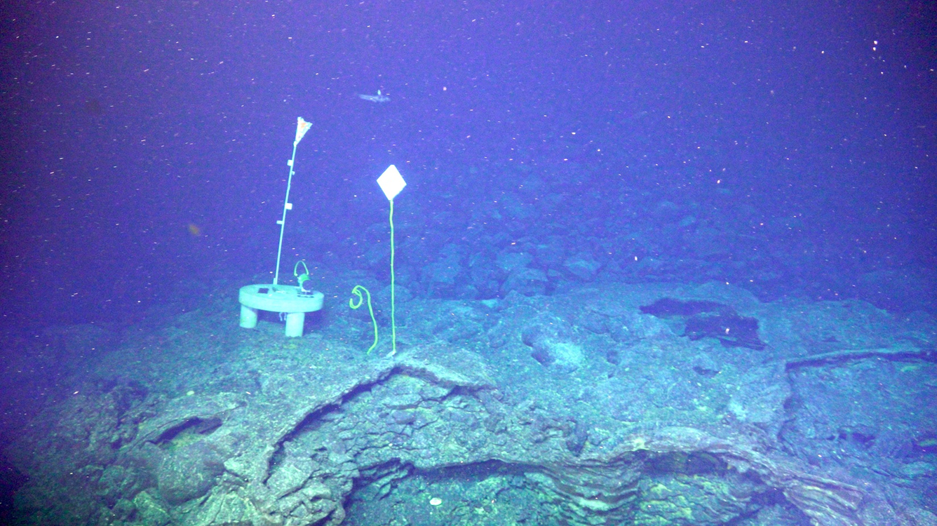 Scientific gadgets at the base of the western caldera wall of the Axial Seamount volcano. 