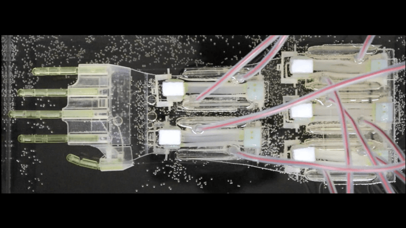 A biohybrid robot hand that moves thanks to "thin strands of muscle tissue grown in a culture medium and then rolled up into a bundle like a sushi roll".