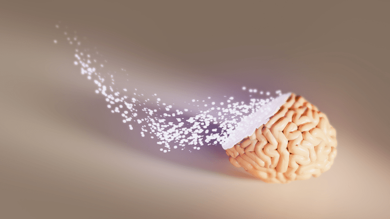 a brain fading into digitized memories