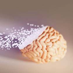 a brain fading into digitized memories