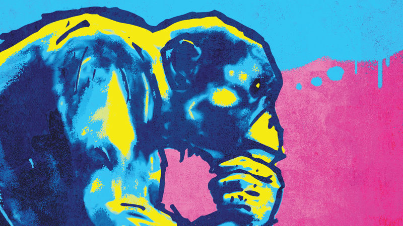 Chimpanzee crouching and holding its chin, like Rodin's The Thinker