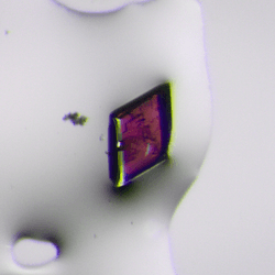 This crystal may not look very impressive, but it's the difference between expectations and observations when exposed to polarized light that makes it significant.