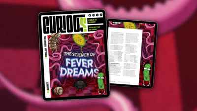 CURIOUS Issue 31 - the science of fever dreams