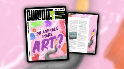 CURIOUS Issue 33