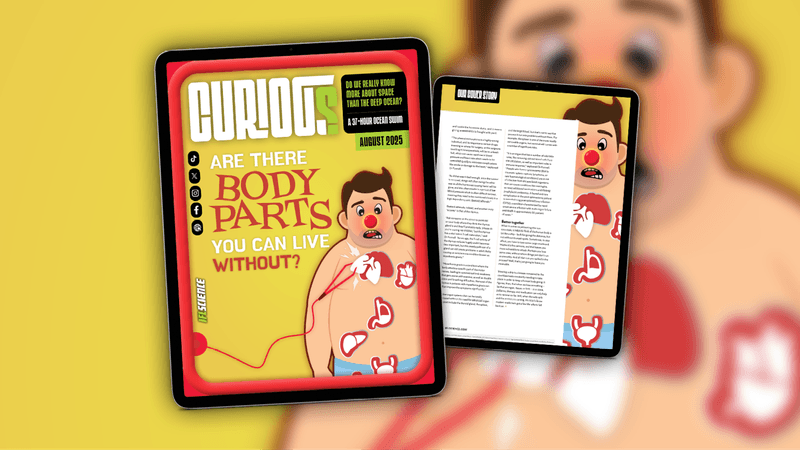 CURIOUS Issue 37 August: Are there body parts you can live without?