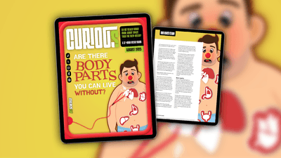 CURIOUS Issue 37 August: Are there body parts you can live without?