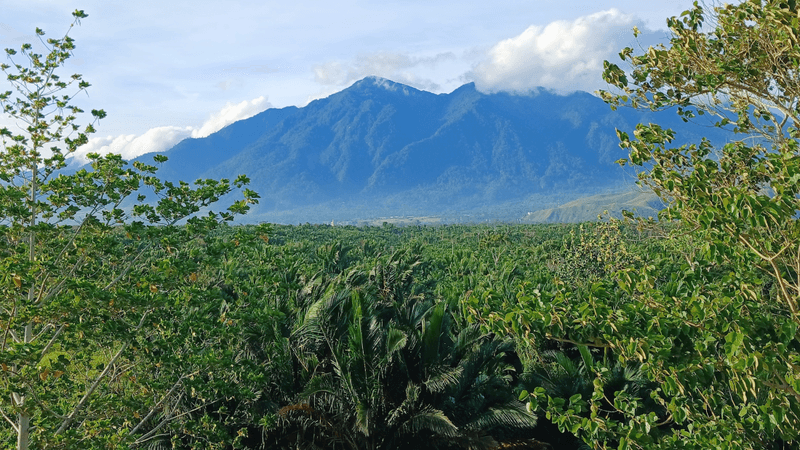 cyclops mountains in the distance lots of wild green space