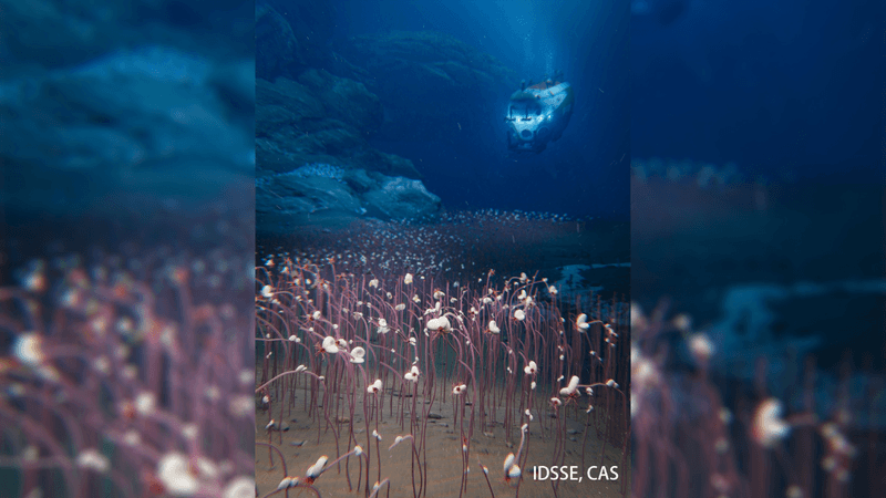 submersible finds deepest ever ecosystem