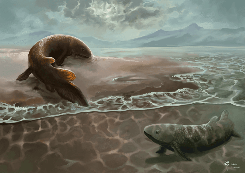 An early explorer of the land Reptanichnus acutori watched cautiously by Broomichnium ujazdensis still sticking to the water.