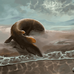 An early explorer of the land Reptanichnus acutori watched cautiously by Broomichnium ujazdensis still sticking to the water.