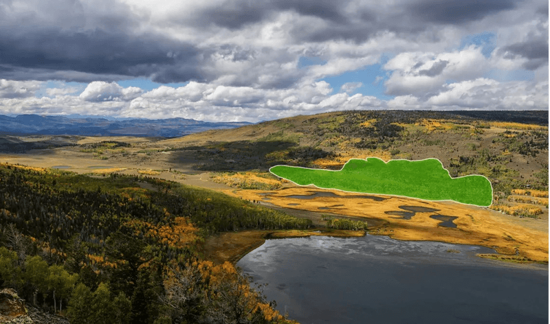 Gargantuan Blob In Utah Is Up To 80,000 Years Old And Among Earth's Oldest Organisms