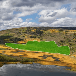 Gargantuan Blob In Utah Is Up To 80,000 Years Old And Among Earth's Oldest Organisms