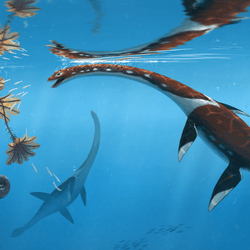 life reconstruction of Plesionectes longicollum 