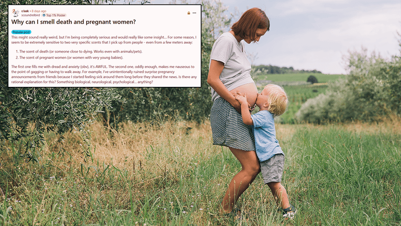 A pregnant woman, being kissed on the belly by a child.