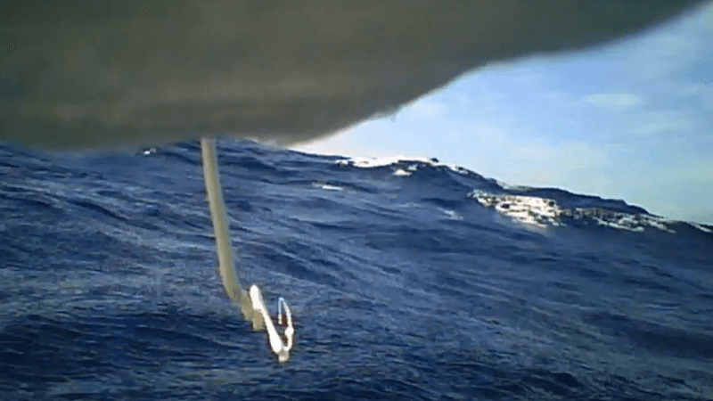 a camera strapped to a seabird shows it pooping in the air