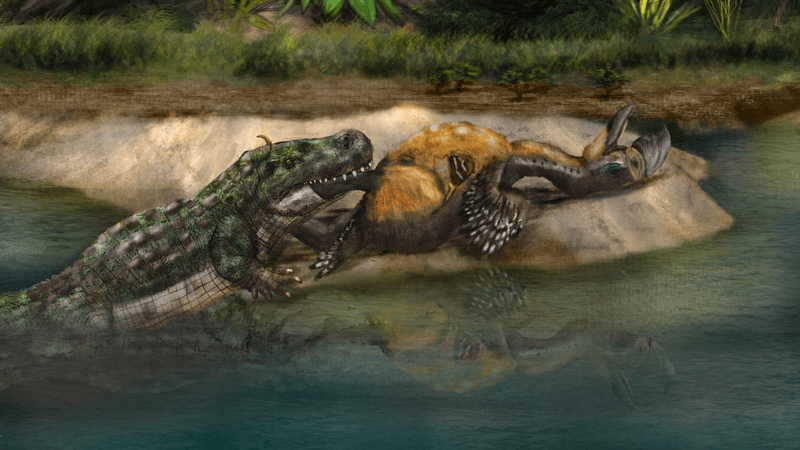 a caiman killing a terror bird