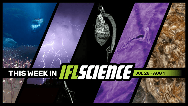 All the biggest science news stories of the week.