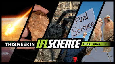 All the biggest science news stories of the week.