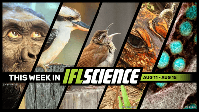 All the biggest science news stories of the week.