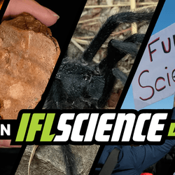 All the biggest science news stories of the week.