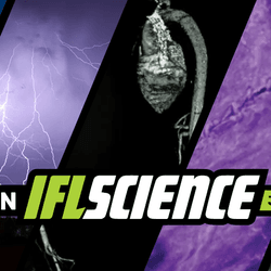 All the biggest science news stories of the week.