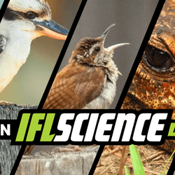 All the biggest science news stories of the week.