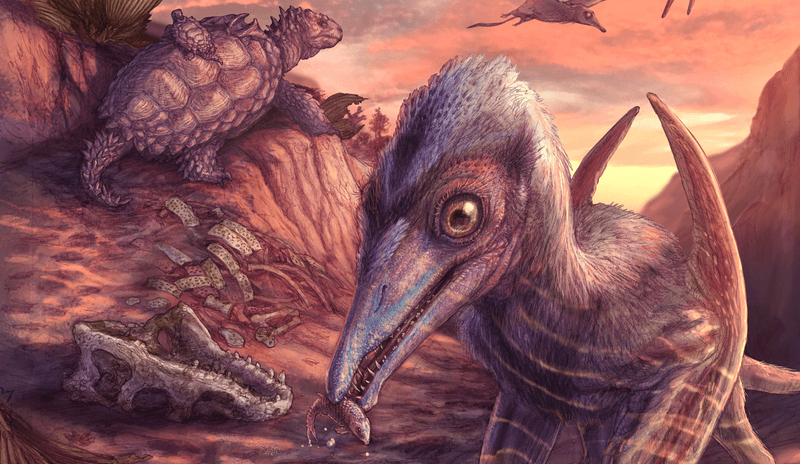 Artist's reconstruction of Eotephradactylus mcintireae, North America's oldest known pterosaur, with the continent's first turtle in the background.