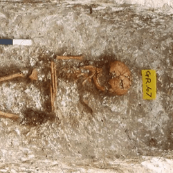 The skeleton of the girl with West African ancestry in Updown, Kent.