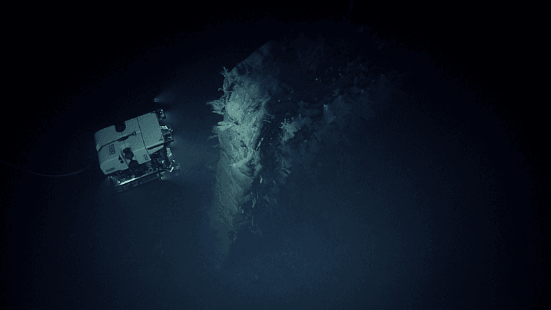 Remotely operated vehicle Deep Discoverer images a large face of a solitary dike seen near the end of the dive