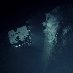 Remotely operated vehicle Deep Discoverer images a large face of a solitary dike seen near the end of the dive