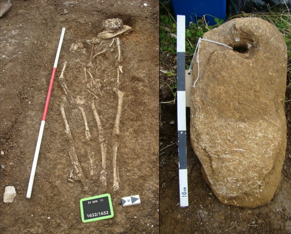 Human skeletal remains in a double burial at the Worth Matravers cemetery, along with the anchor stone found underneath the older individual’s head.
