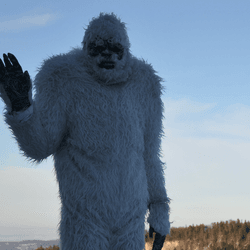 Whether it's Bigfoot, the Yeti, or the Almas, many cultures across the world have folklore tales of mysterious ape-like beings. 